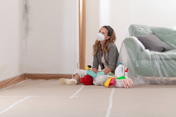 Reliable Commercial Mold Remediation contractor in Thomasville, GA by 24 Hour Mold Removal
